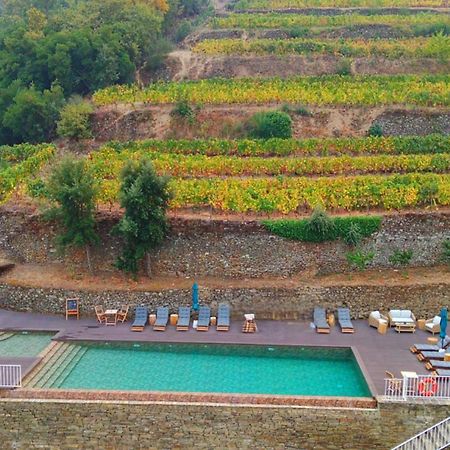 Quinta De Travassinhos- Douro Valley & Spa Santa Marta de Penaguião Esterno foto