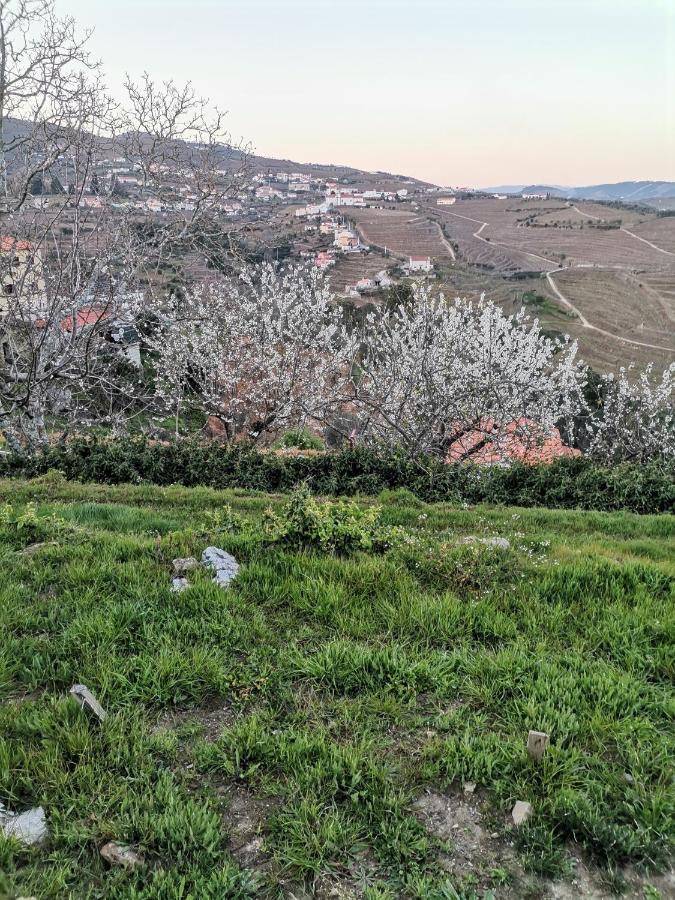 Quinta De Travassinhos- Douro Valley & Spa Santa Marta de Penaguião Esterno foto