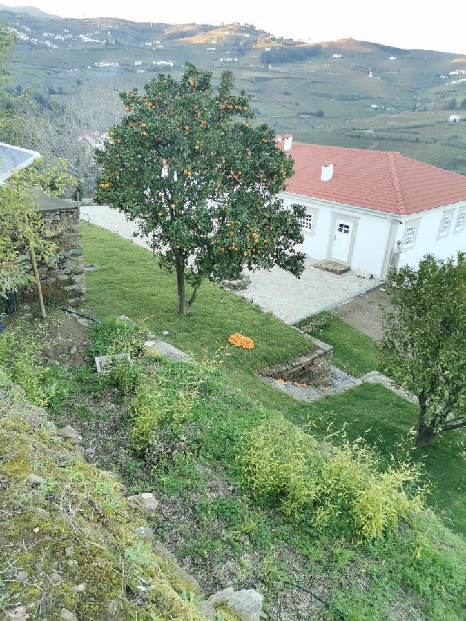 Quinta De Travassinhos- Douro Valley & Spa Santa Marta de Penaguião Esterno foto