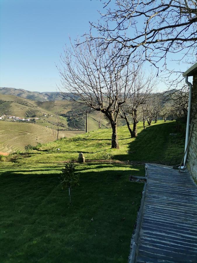 Quinta De Travassinhos- Douro Valley & Spa Santa Marta de Penaguião Esterno foto