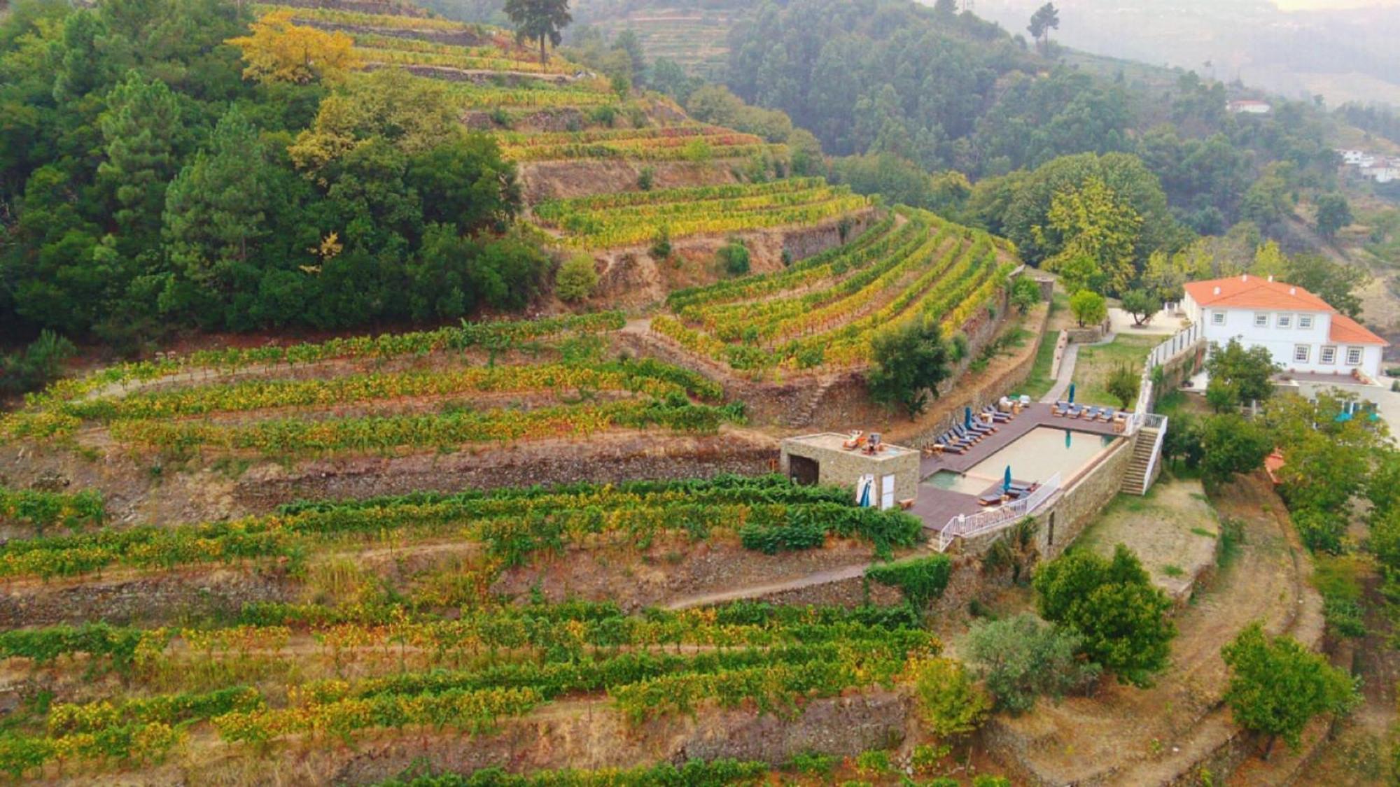 Quinta De Travassinhos- Douro Valley & Spa Santa Marta de Penaguião Esterno foto